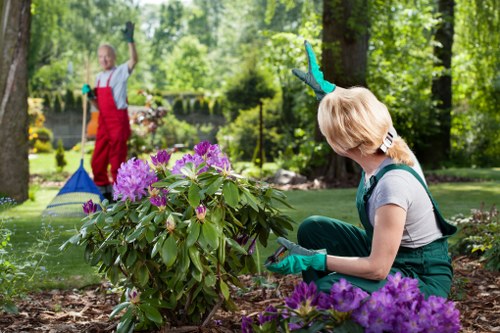 Lush garden maintained by gardeners in Bellingham