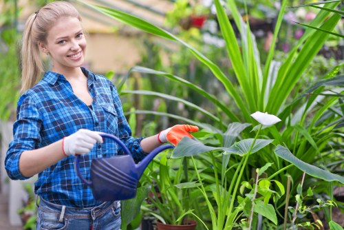 Sustainable gardening practices by a Notting Hill expert