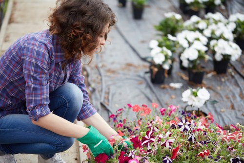 Professional maintenance services for pristine gardens in Tufnell Park