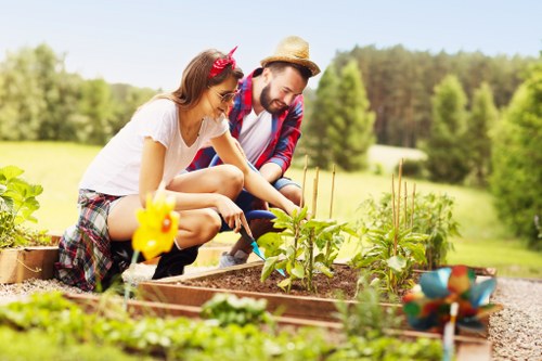 Spring garden maintenance in a London backyard