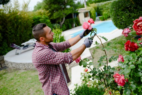 Thamesmead gardeners working in a suburban garden setting