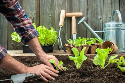 Professional gardener planning a garden layout in Gidea Park