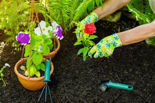 Professional landscaper designing a garden layout