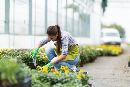 Professional gardener maintaining a vibrant London garden