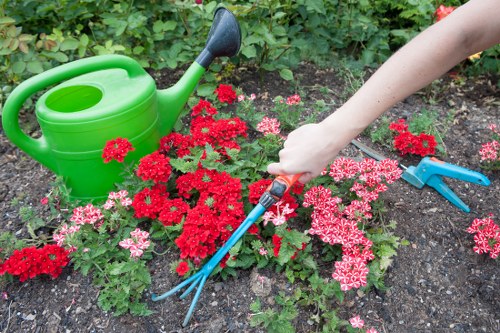 Eco-friendly gardening practices with native plants in Forest Hill