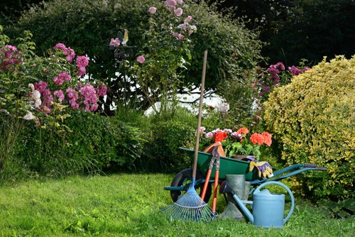 Team of experienced gardeners in Brockley providing services