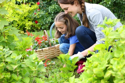 Seasonal planting in a Winchmore Hill garden