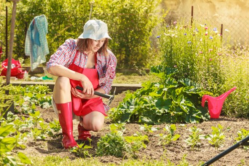 A community garden in London with residents working together