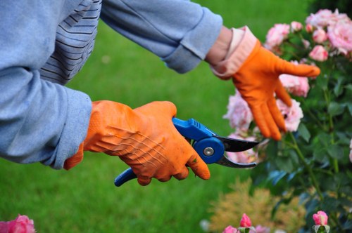 Local Osterley gardeners maintaining a vibrant garden