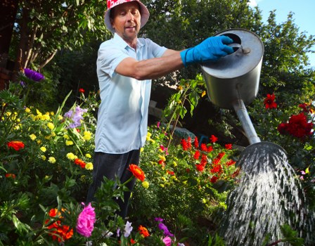 Beautiful Maryland garden showcasing vibrant flowers