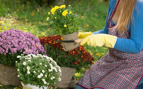 Garden maintenance by local Gants Hill professionals