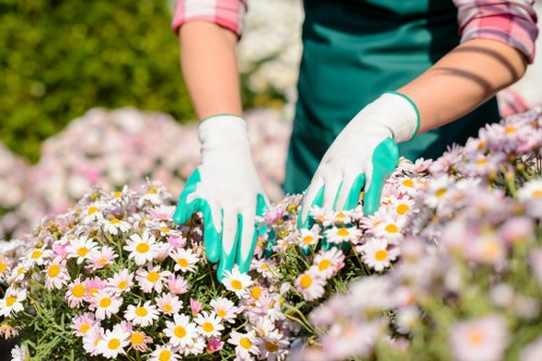 Seasonal garden maintenance activities by gardeners in Gidea Park