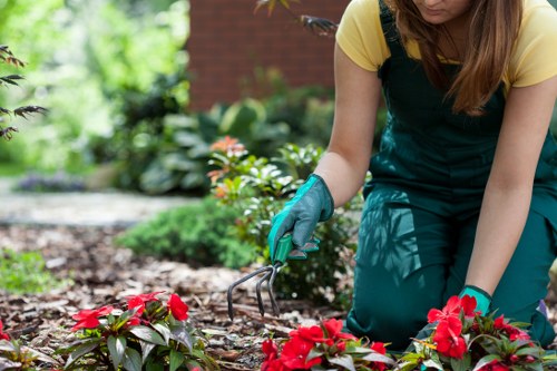 Professional gardener working in Muswell Hill