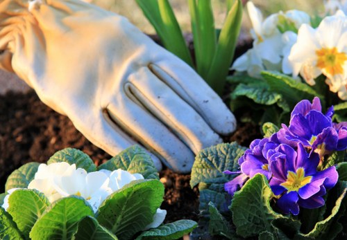 Professional gardeners enhancing a Hammersmith backyard