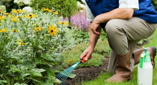 Essential lawn mowing techniques for a healthy yard