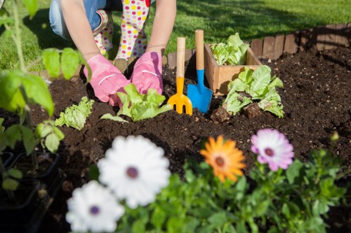 Sustainable gardening practices in Tufnell Park’s local gardens