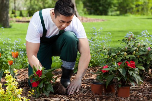 Professional gardeners working on a lush garden