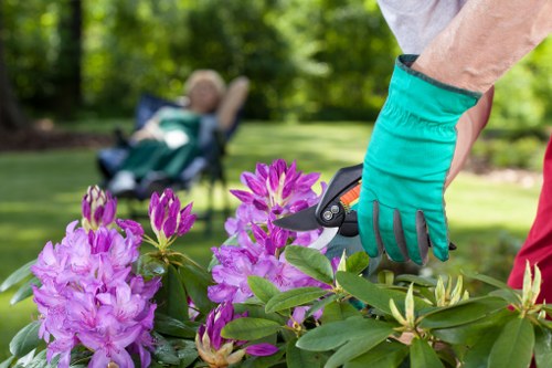 Morden Park gardeners enhancing outdoor spaces in nearby areas