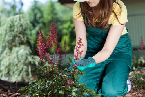 Seasonal planting in a Ruislip garden