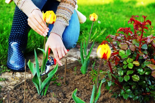 Professional landscaper maintaining a Ruislip lawn