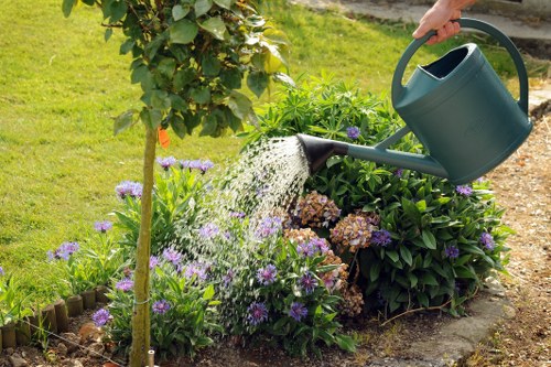 Gardener maintaining a lush green lawn