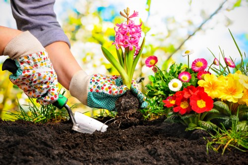 Professional gardener tending to plants in Stepney