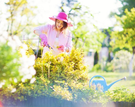 Professional garden maintenance services