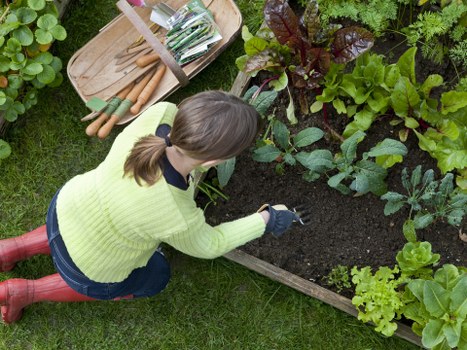 Eco-friendly gardening practices in action