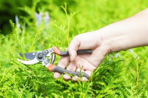 Lush garden flowers and plants cared for by gardeners