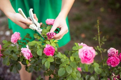 Professional gardener tending to a lush urban garden in London