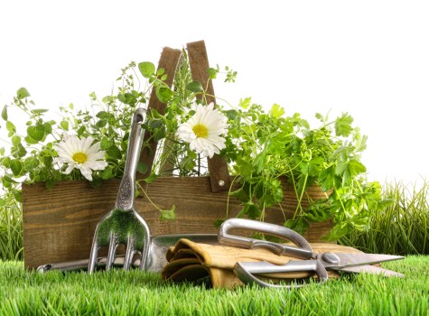 Comprehensive gardening services offered by Hornchurch professionals