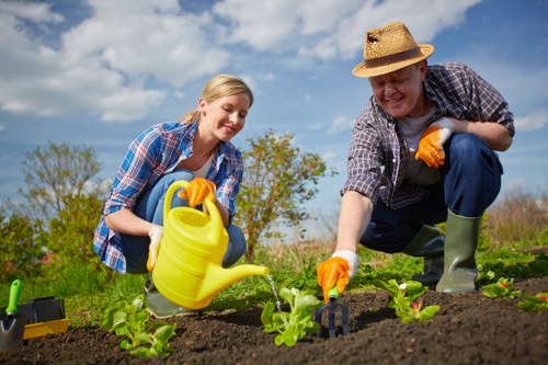 Innovative gardening techniques in Southfields