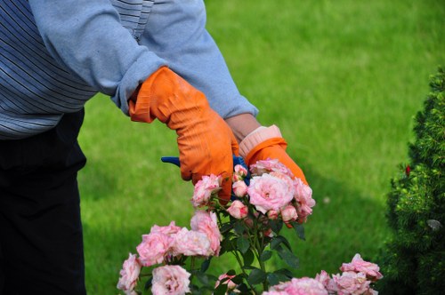 Seasonal flowers arranged by Northwood gardeners