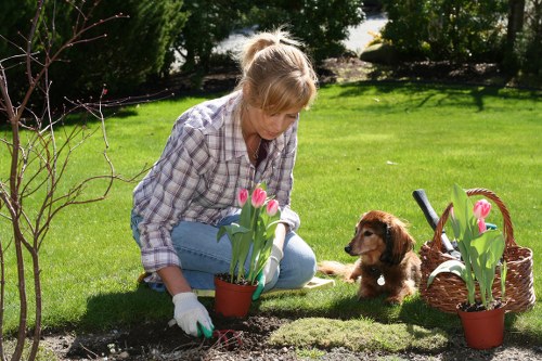 Professional gardeners working in Docklands