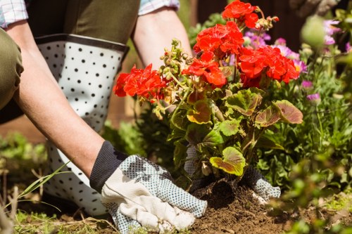 Local Sipson gardeners planting vibrant flowers