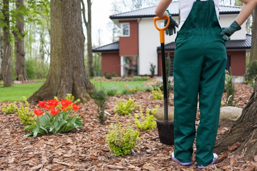 Professional gardeners working in a backyard