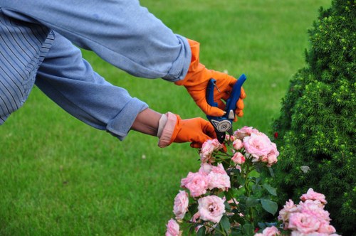 A well-trimmed lawn with colorful plants, showcasing Cowley's gardening expertise.