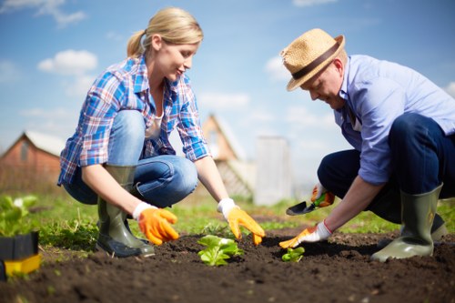 Sustainable gardening practices in Bermondsey