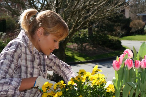 Aesthetic garden design by Harlesden professionals