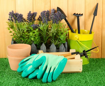 Local gardeners designing a landscape in Bellingham