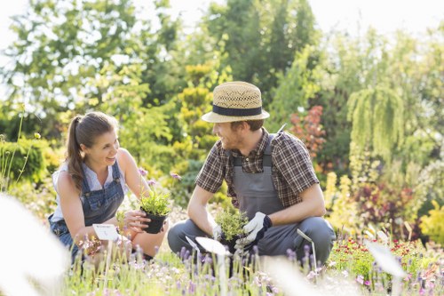 Eco-friendly gardening practices in St Johns